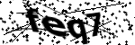 Captcha text