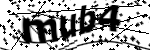 Captcha text